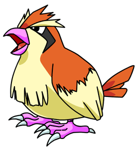 Pidgey