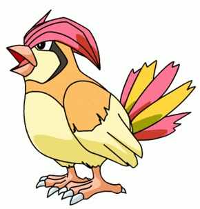 Pidgeotto