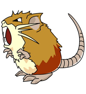 Raticate