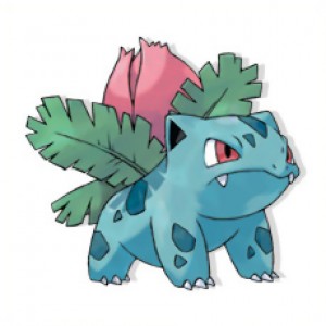 Obrazek